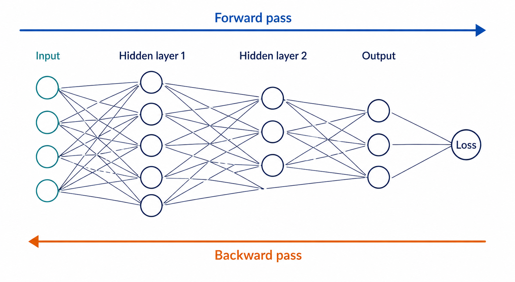 Forward and backward passes through a neural network